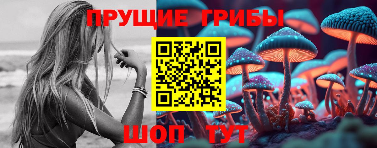 Галлюциногенные грибы прущие грибы  Псилоцибиновые грибы MAGIC MUSHROOMS  Осинники  Вход с VPN 